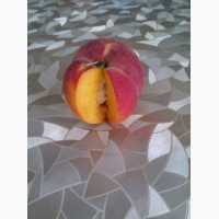 Персик 8 сортів