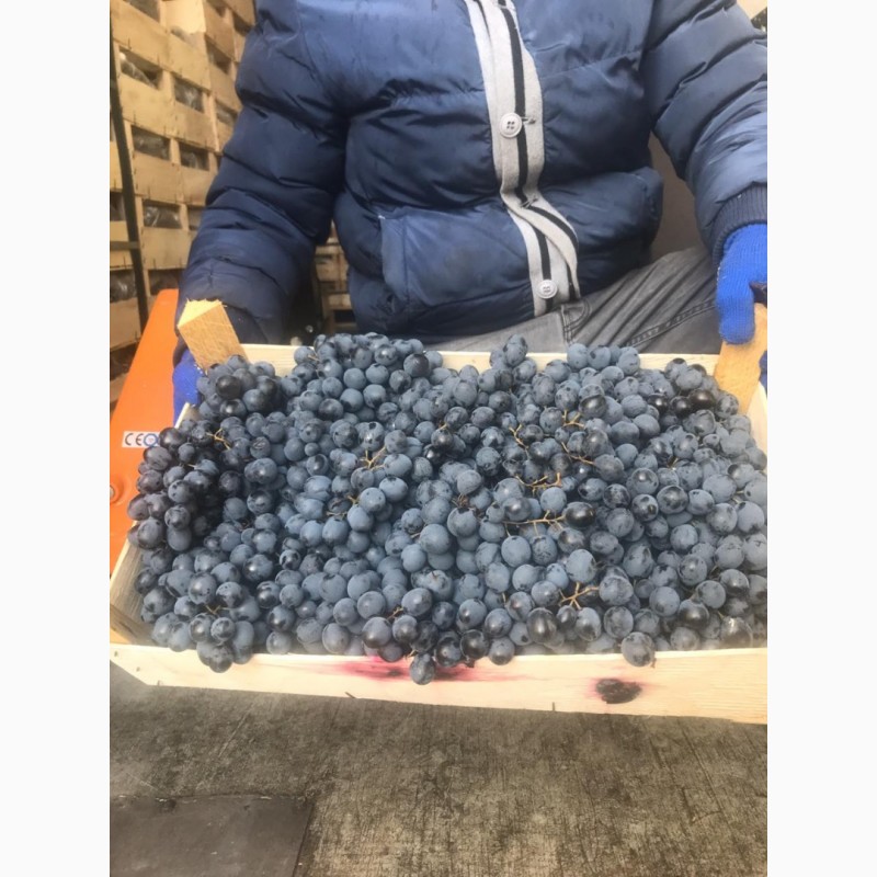Фото 3. Продам виноград Молдова