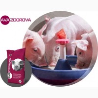 Комбікорм для поросят свиней до 12 кг AVA ZDOROVA Престарт 100%