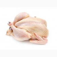 Chicken carcass - broiler frozen for export