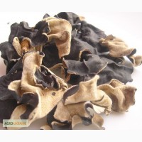Китайский, черный древесный гриб Муэр
