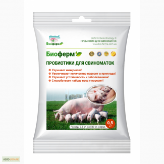 Кормовая добавка - пробиотик для свиноматок и разведения свиней