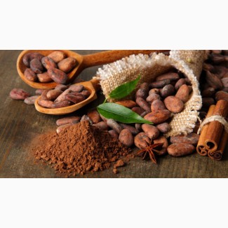 Какао-порошок обезжиренный 10-12%