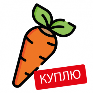 Закупаем морковь оптом