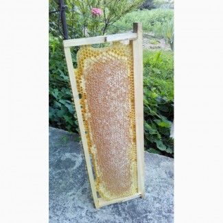 Сотовий мед ціна за рамку