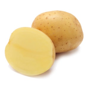 Фото 2. Насіннєва картопля перша репродукція сорти Берніна, Венета, Вівіана