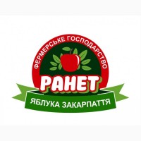 Продам яблука урожай 2020, Закарпатська обл