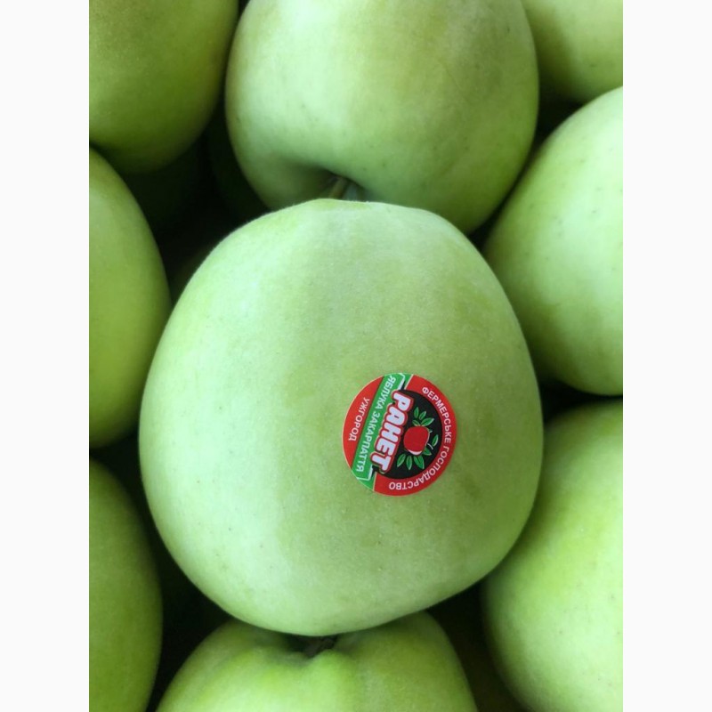 Фото 2. Продам яблука урожай 2020, Закарпатська обл