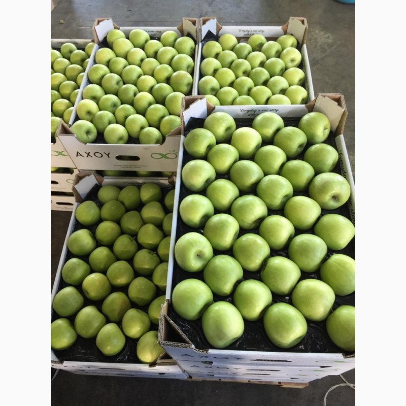 Фото 5. Продам яблука урожай 2020, Закарпатська обл