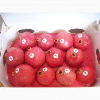 We sell Fresh Pomegranate