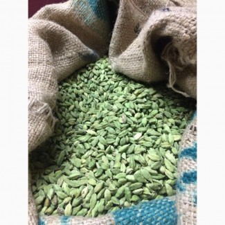 Green Cardamom