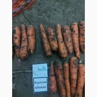 Продам морковь между 1 и 2 сортом