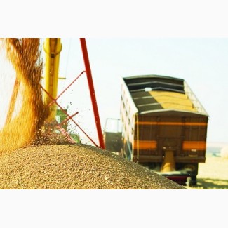 Транспортування зернових вантажів. Послуги зерновозів