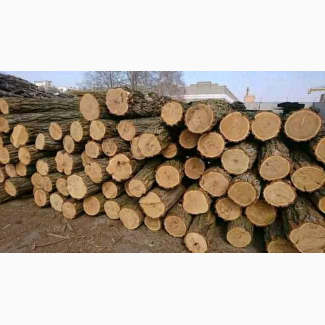Продам дрова 599 грн