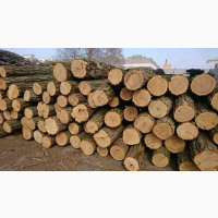 Продам дрова 599 грн