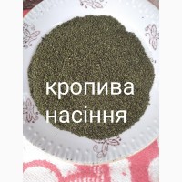 Кропива насіння