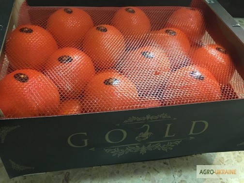 Фото 9. Продаем апельсин из Испании