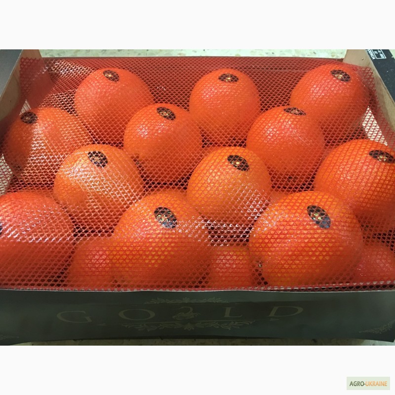 Фото 17. Продаем апельсин из Испании
