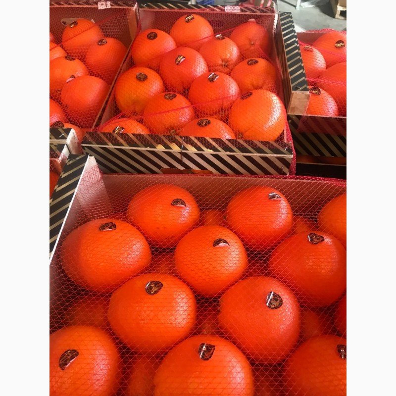 Фото 13. Продаем апельсин из Испании