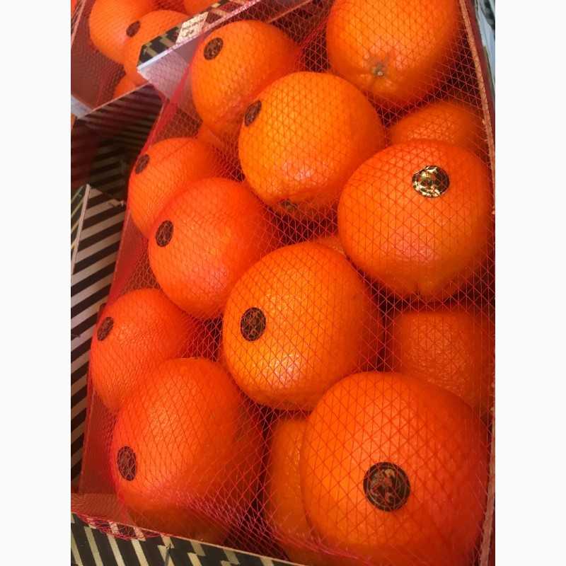 Фото 8. Продаем апельсин из Испании