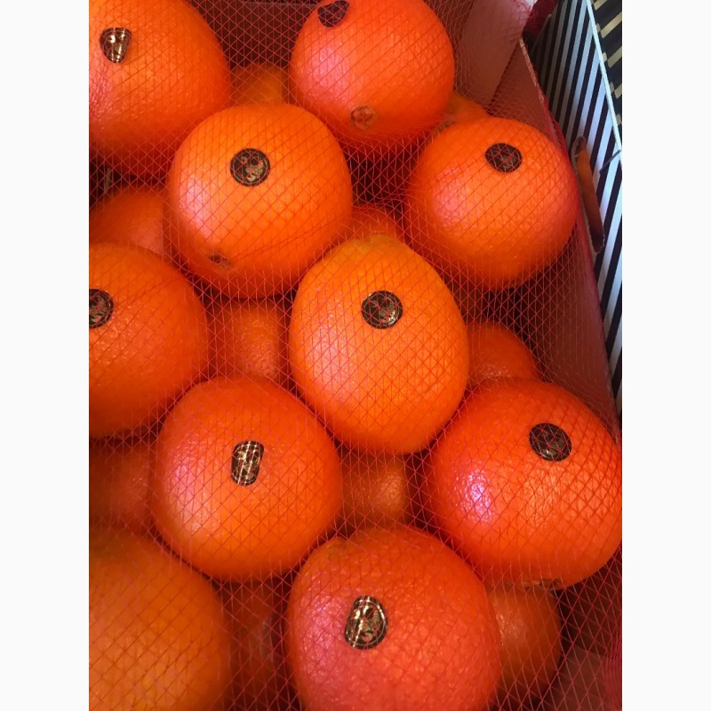 Фото 10. Продаем апельсин из Испании