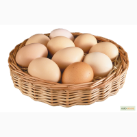 Продам яйцо куриное оптом и в розницу от птицефабрики