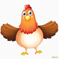 БВМД для цыплят и курей несучек (Старт 25%, Откорм 20%)