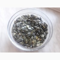 Продам гарбузове насіння голонасінне (очищені та висушені)