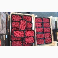 Продам свежую ягоду малины можно с поля. Летние сорта- Феномен и ГленАмпл