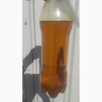 Crude degummed soybean oil / нерафинированное гидратированное соевое масло