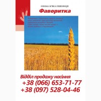 Насіння. Озима пшениця - Богдана, Сотниця, Фаворитка. Насіння від виробника