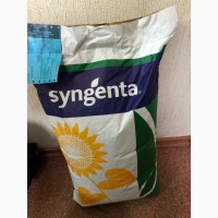 Семена подсолнечника НК Конди Syngenta 2018 года урожая