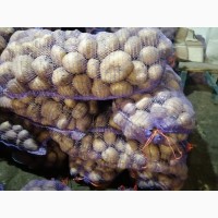 Продам товарну картоплю Арізона таЕсмі 2го сорту