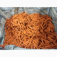 Продам морковь 2 сор( крупную, мелкую, на корм ), могу мыть
