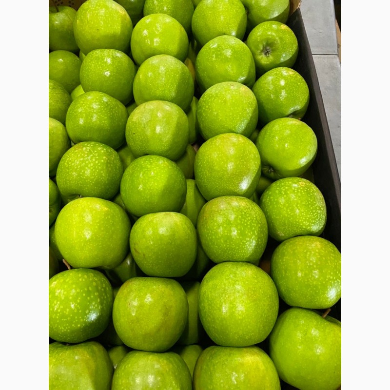 Фото 4. Продам Польские яблоки, с доставкой на Украину, любых сортов в любом количестве