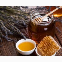 Мед натуральний з лісової власної пасіки, Мёд, медові соти з рамкою, пилок, Organic 2022