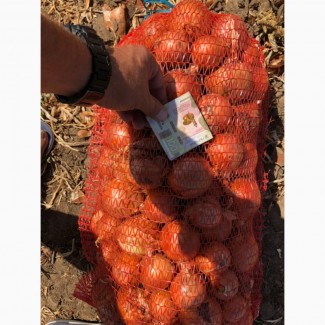 Продаж цибулі, Полтавська область