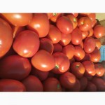 Продаются помидоры сливка