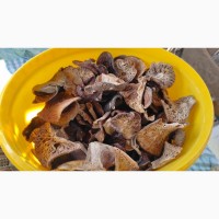 Грибний мікс(сироїжки, підберезники, лисички, білі гриби)