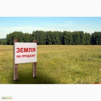 Продам земельный участок на трассе Киев-Чоп, фасадный участок вдоль трассы