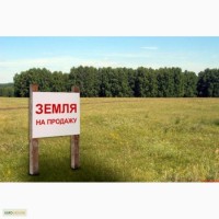 Продам земельный участок на трассе Киев-Чоп, фасадный участок вдоль трассы