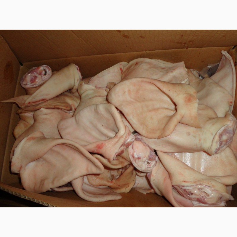 Фото 7. ООО «Амтек Трейд» предлагает замороженные свиные субпродукты