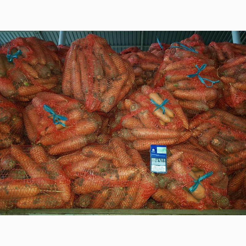 Продам морковку найлутчшего качества сорт Абака
