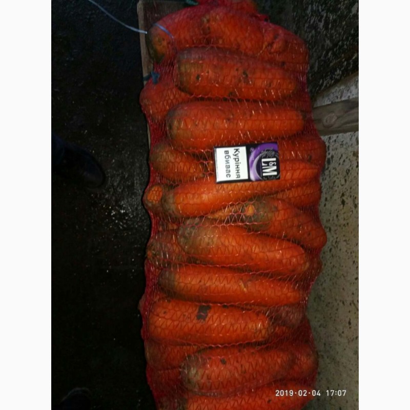 Фото 2. Продам морковку найлутчшего качества сорт Абака