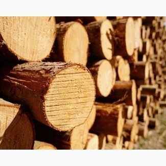 Продам сухі дрова з хвойних порід деревини