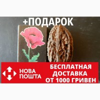 Орех серый семена (10 штук) для выращивания саженцев, горіх сірий насіння