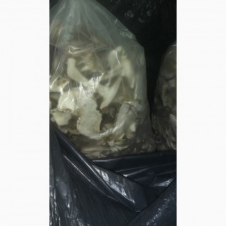 Сушеные Белые грибы резаные полоской