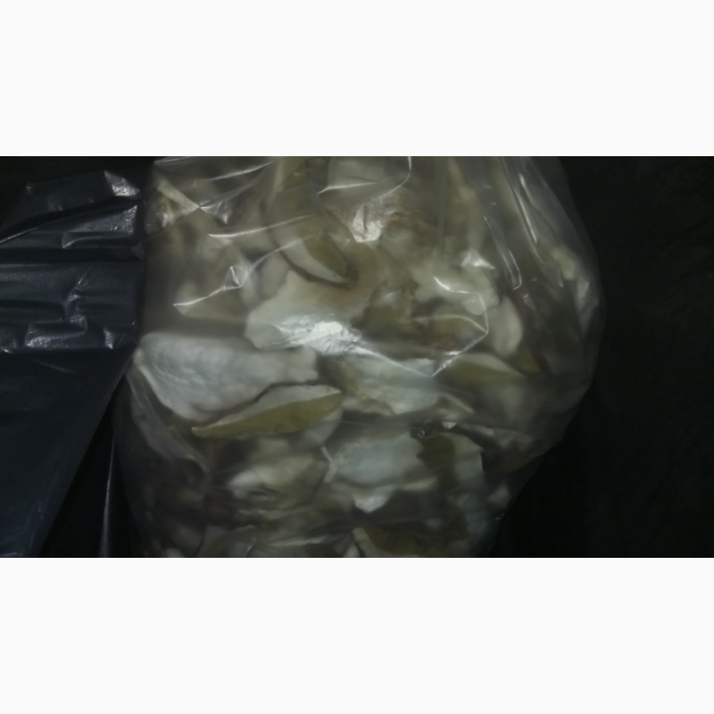 Фото 2. Сушеные Белые грибы резаные полоской