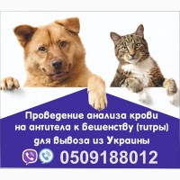Аналіз на сказ Євродовідка для собак титри на антитіла Офіційно