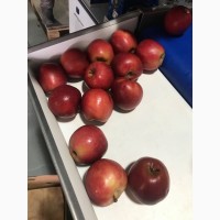 Крупне гарне яблуко Голден, Фуджі, Грені Смітт, Ред Делішес